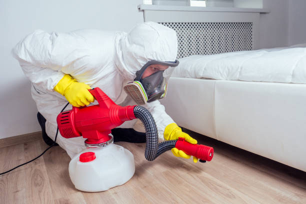 Flea Control Services in Granite Falls, WA
