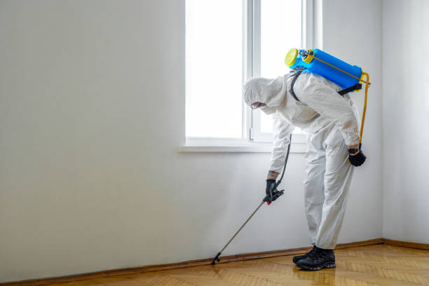 Best Best Pest Control Companies  in Granite Falls, WA