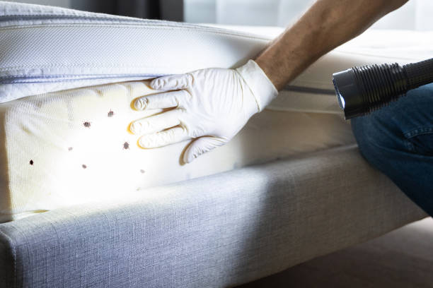 Best Commercial Pest Control Services  in Granite Falls, WA