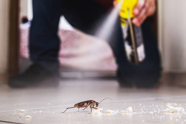 Reliable Granite Falls, WA Pest Control Solutions