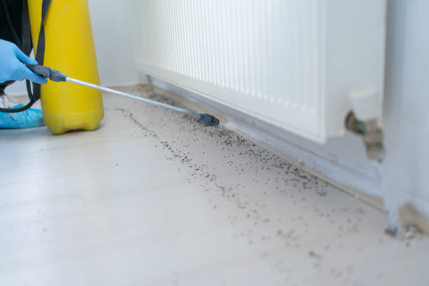 Granite Falls, WA Pest Control Company